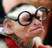 monkey-nerd.jpg